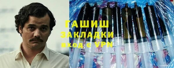 индика Арсеньев