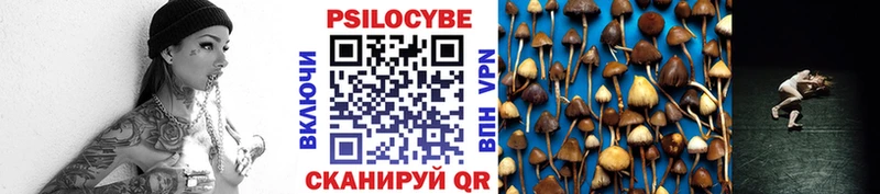 Псилоцибиновые грибы Psilocybine cubensis  купить закладку  Омск 